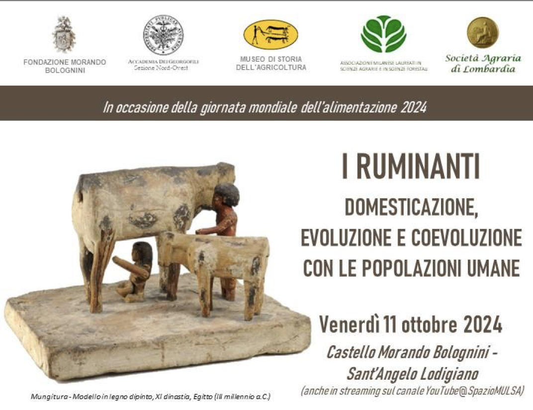 I ruminanti: domesticazione, evoluzione e coevoluzione con le popolazioni umane